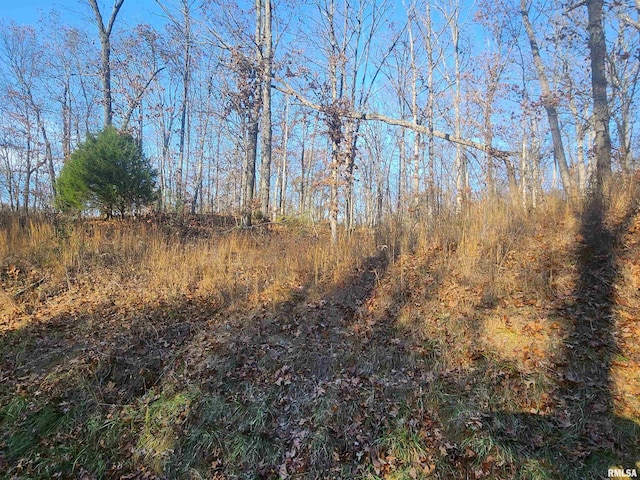 000 W Lake Rd, Pinckneyville, IL 62274 - photo 3