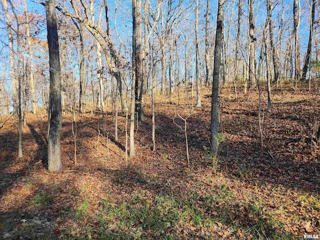 000 W Lake Rd, Pinckneyville, IL 62274 - photo 4