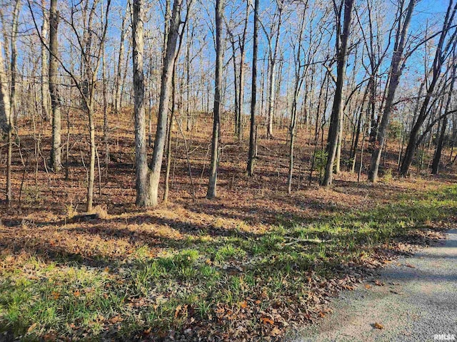 000 W Lake Rd, Pinckneyville, IL 62274 - photo 6