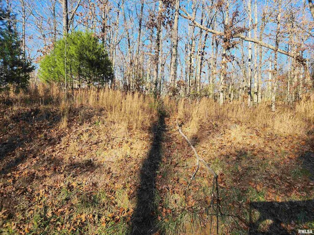 000 W Lake Rd, Pinckneyville, IL 62274 - photo 7