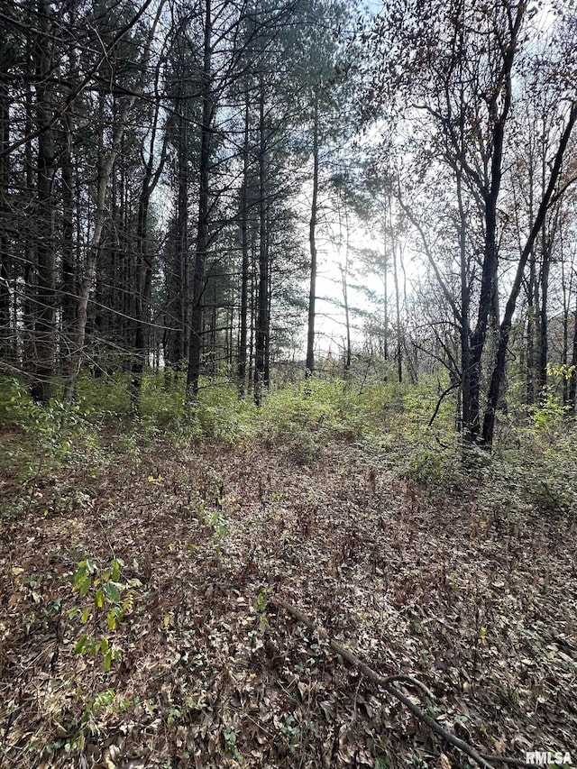 view of local wilderness