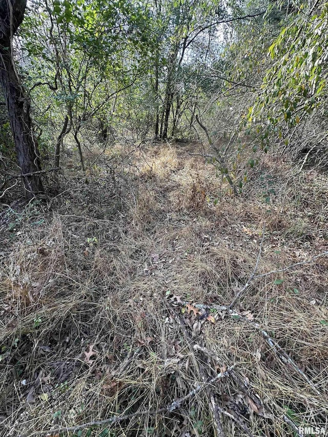 view of local wilderness