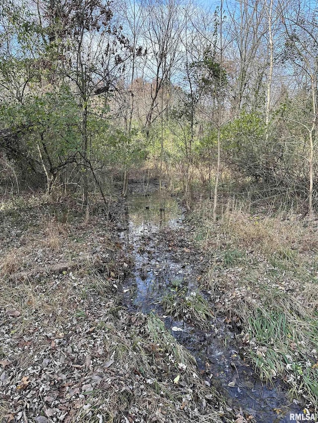 view of local wilderness