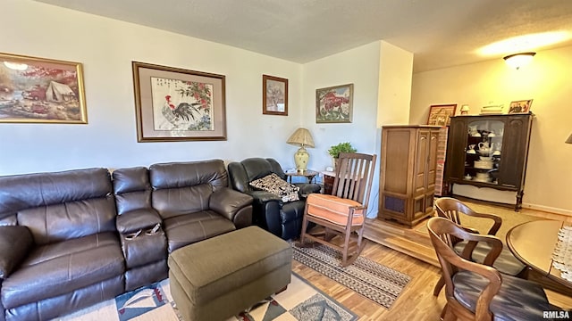 1807 E Saint Louis St, West Frankfort, IL 62896 - living area with light wood-style floors