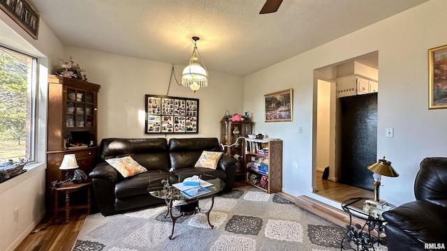 1807 E Saint Louis St, West Frankfort, IL 62896 - living room with wood finished floors and ceiling fan