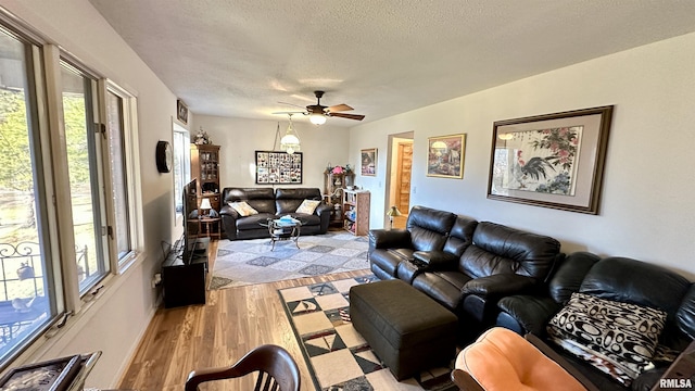 1807 E Saint Louis St, West Frankfort, IL 62896 - living area with light wood-type flooring, a textured ceiling, healthy amount of natural light, and ceiling fan