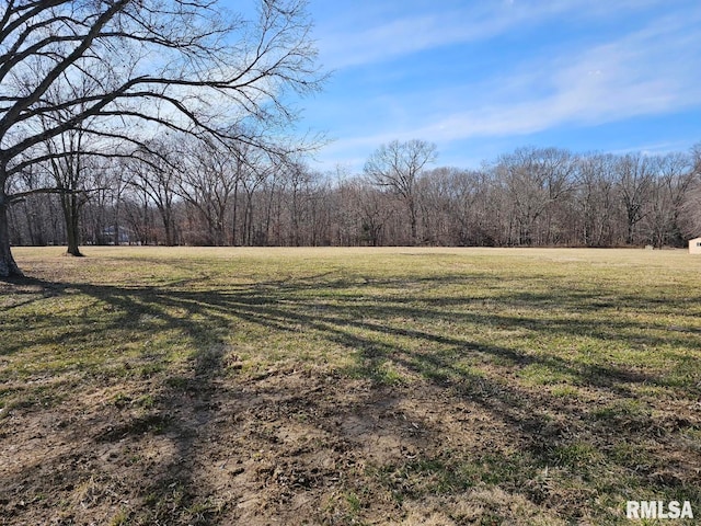 view of yard featuring a forest view