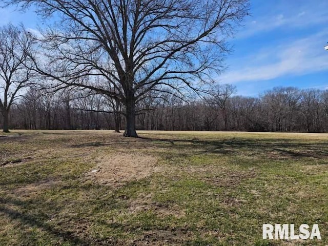 view of yard with a wooded view