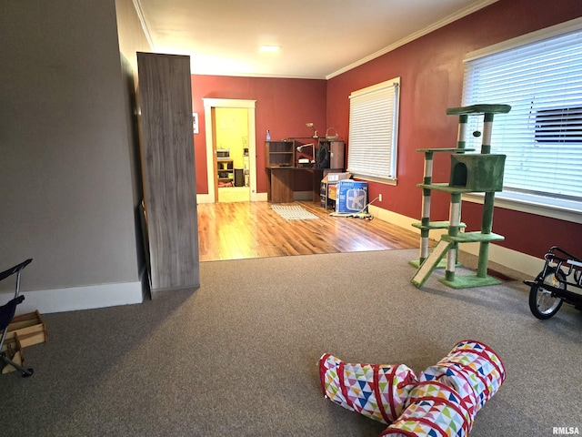 workout room featuring crown molding and carpet