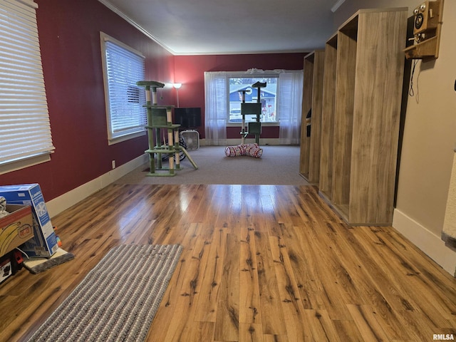 hallway with hardwood / wood-style flooring and ornamental molding