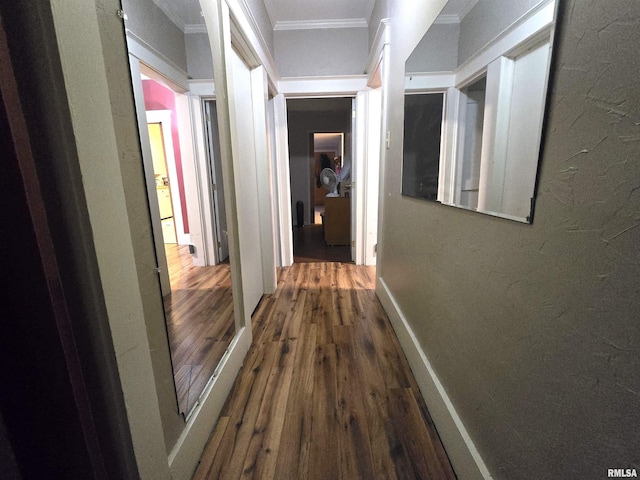 hallway featuring hardwood / wood-style floors and ornamental molding