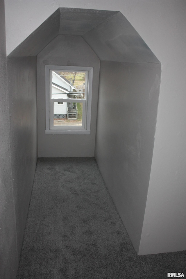 additional living space with carpet and vaulted ceiling