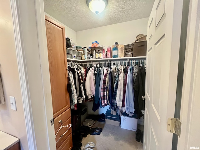 view of spacious closet