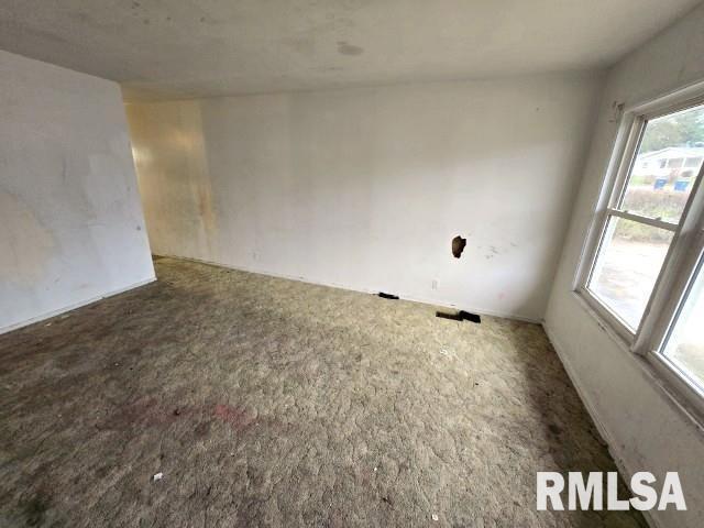 spare room featuring carpet floors and a healthy amount of sunlight