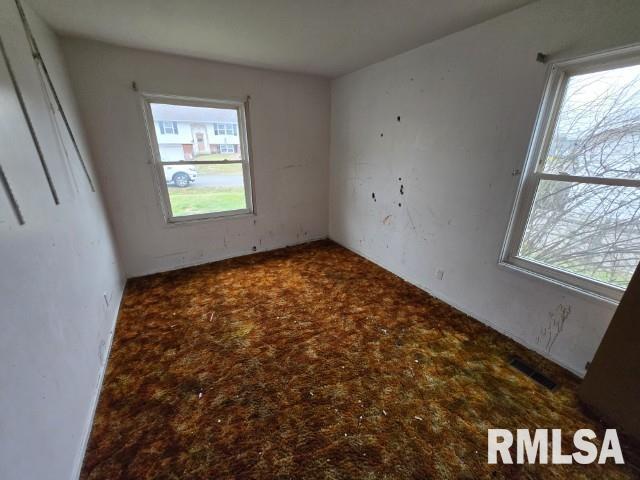 empty room with carpet flooring and a healthy amount of sunlight