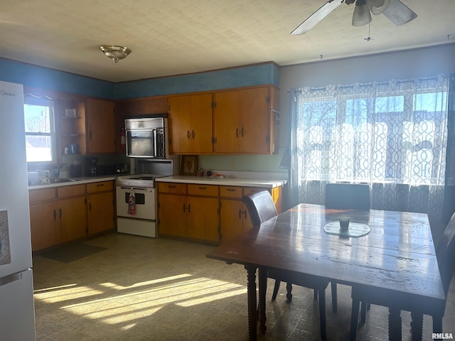 kitchen with ceiling fan, sink, and white appliances