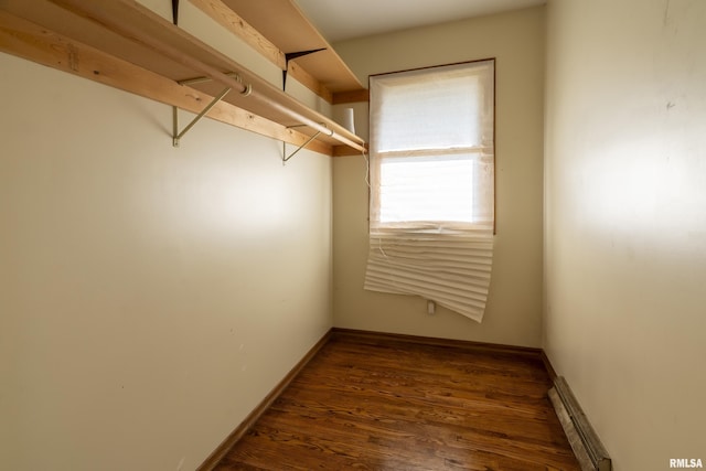 spacious closet featuring dark hardwood / wood-style flooring and a baseboard radiator