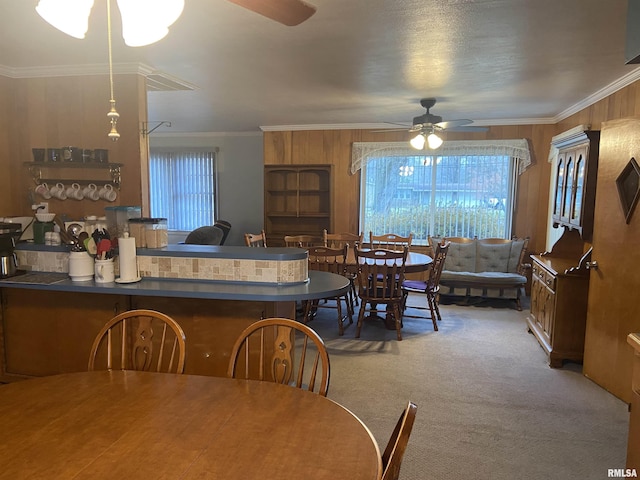 carpeted dining space with ceiling fan, crown molding, and wood walls