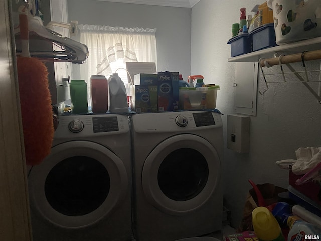 laundry area with independent washer and dryer and ornamental molding