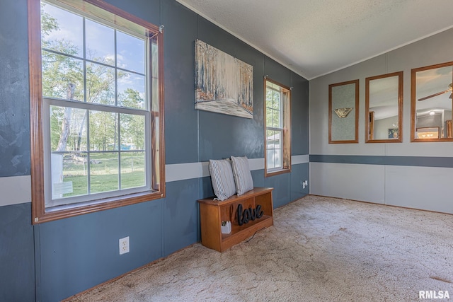 408 W Kirkwood St, Odin, IL 62870 - carpeted spare room with ornamental molding, a textured ceiling, and vaulted ceiling