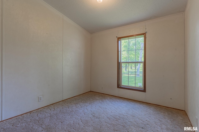 408 W Kirkwood St, Odin, IL 62870 - spare room featuring carpet flooring and a textured ceiling