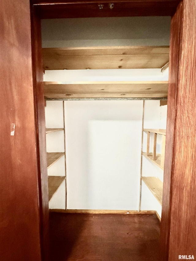 view of closet