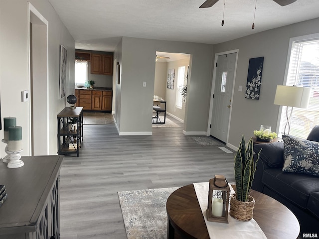 living room featuring light hardwood / wood-style floors and ceiling fan