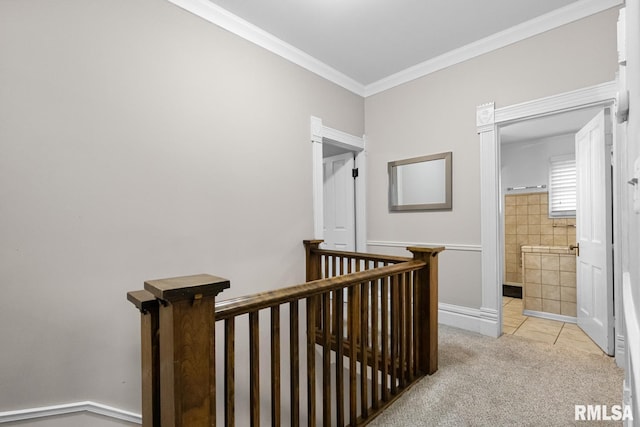 corridor with light carpet and ornamental molding