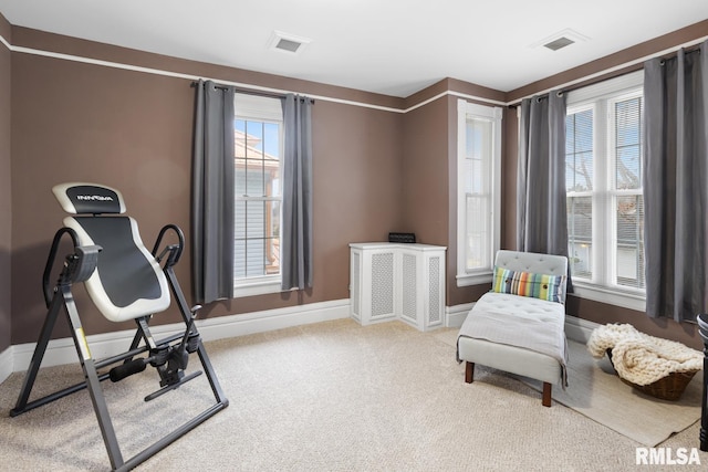 workout area with light colored carpet