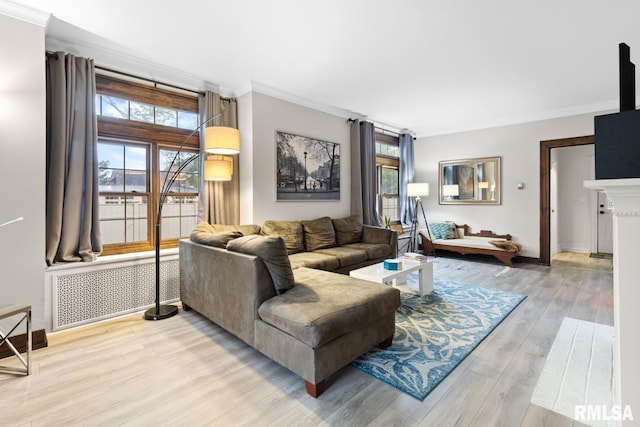 living room with radiator heating unit, light hardwood / wood-style floors, and crown molding