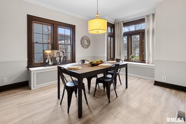 dining space with light hardwood / wood-style floors, crown molding, and radiator