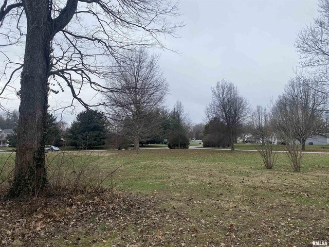 23 Brian Ave, Murphysboro IL, 62966 land for sale