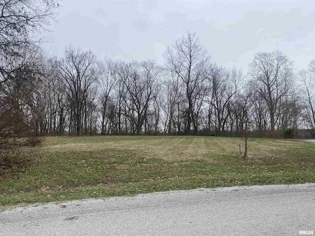 Listing photo 2 for 23 Brian Ave, Murphysboro IL 62966