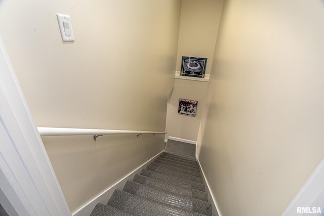 staircase featuring carpet flooring