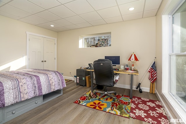 bedroom featuring hardwood / wood-style floors, a drop ceiling, and a closet