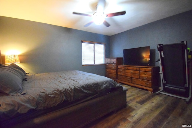 bedroom featuring ceiling fan and dark hardwood / wood-style floors