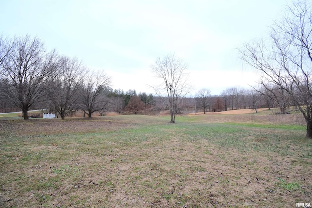 view of yard with a rural view