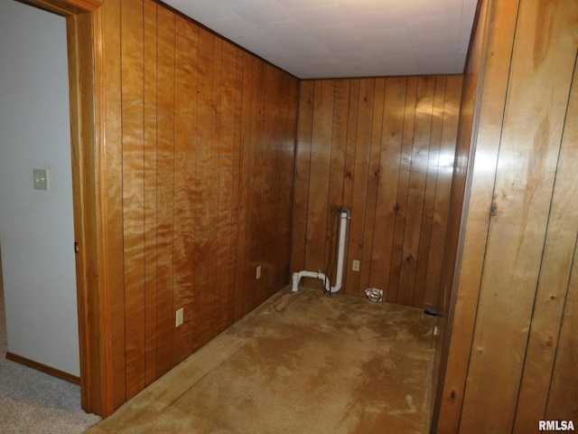 washroom with carpet floors and wooden walls