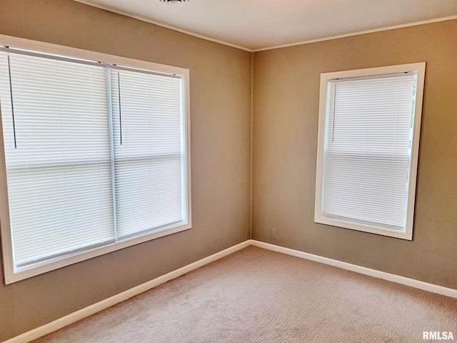 spare room featuring carpet flooring and ornamental molding