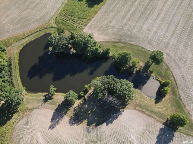10965 E 700th Ave, Watson, IL 62473 - photo 16