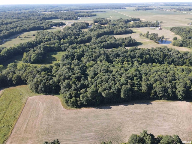 10965 E 700th Ave, Watson, IL 62473 - photo 18