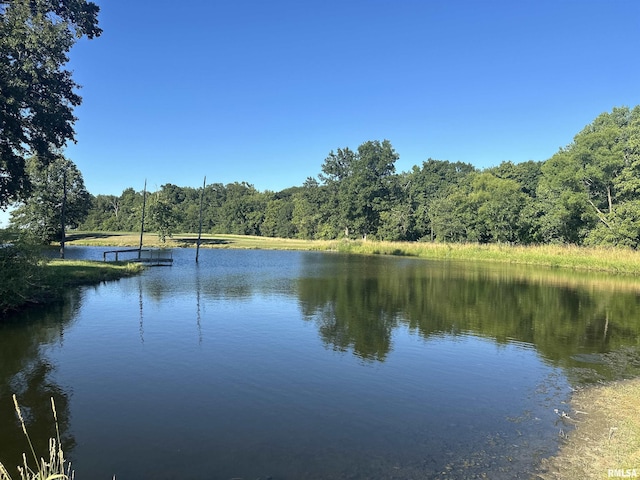 10965 E 700th Ave, Watson, IL 62473 - water view with a heavily wooded area