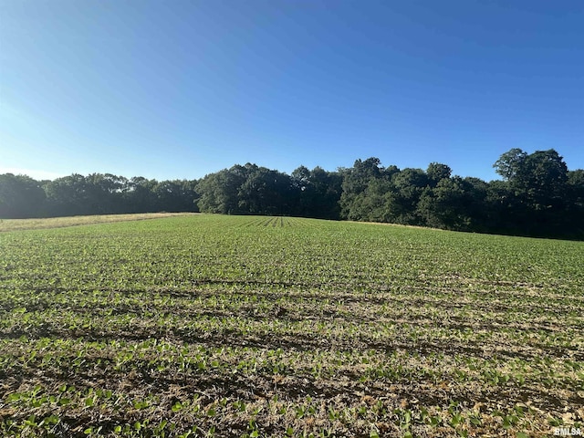 view of yard with a rural view