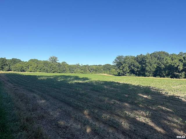 10965 E 700th Ave, Watson, IL 62473 - view of grassy yard with a forest view and a rural view