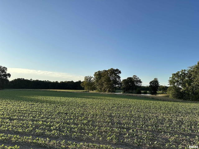 view of yard with a rural view