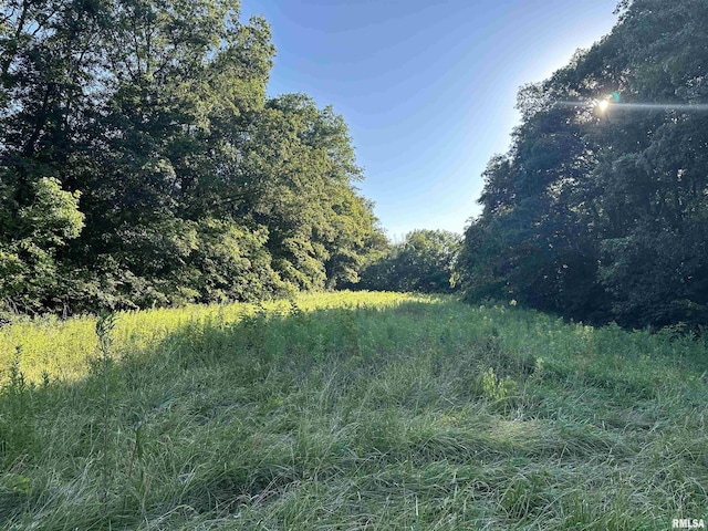 10965 E 700th Ave, Watson, IL 62473 - view of undeveloped land