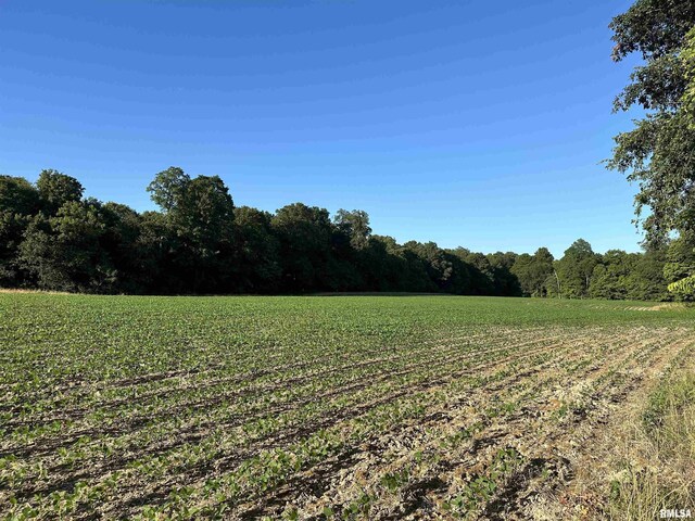 10965 E 700th Ave, Watson, IL 62473 - view of undeveloped land featuring rural landscape and large plots for crops