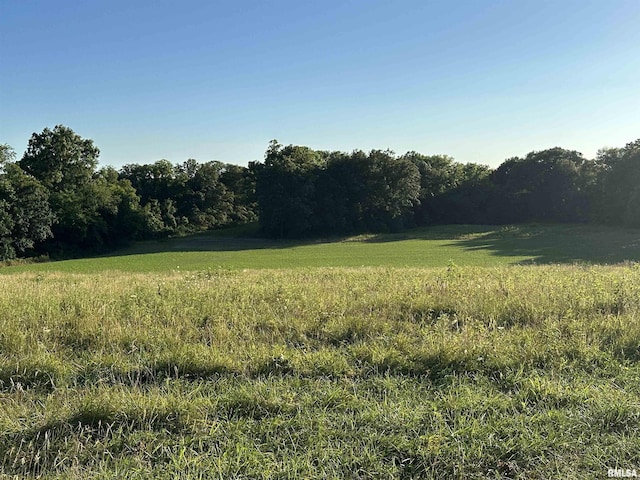 10965 E 700th Ave, Watson, IL 62473 - view of yard featuring a view of countryside and a forest view