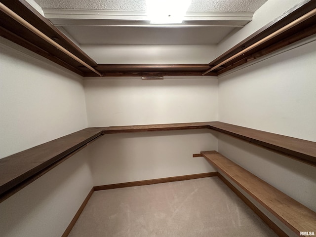 spacious closet featuring carpet flooring