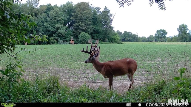 10965 E 700th Ave, Watson, IL 62473 - photo 52